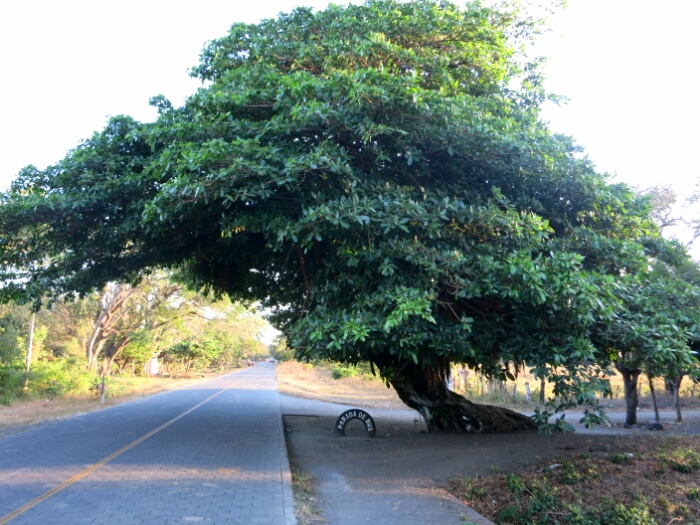 wp-1426068091845 image